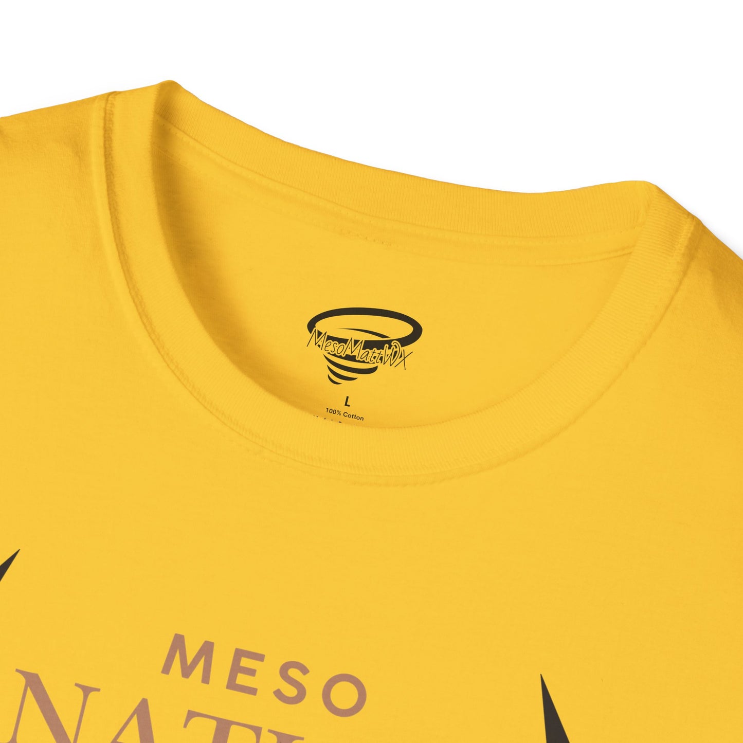 MesoNation Unisex Softstyle T-Shirt