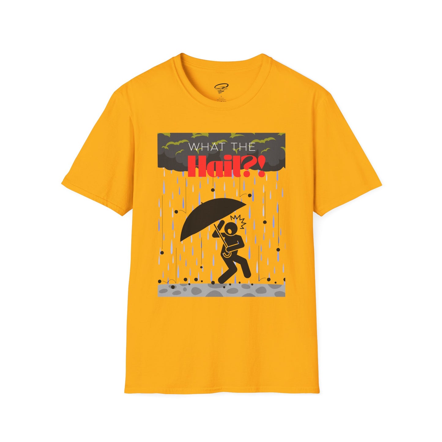 What the Hail?! T-Shirt