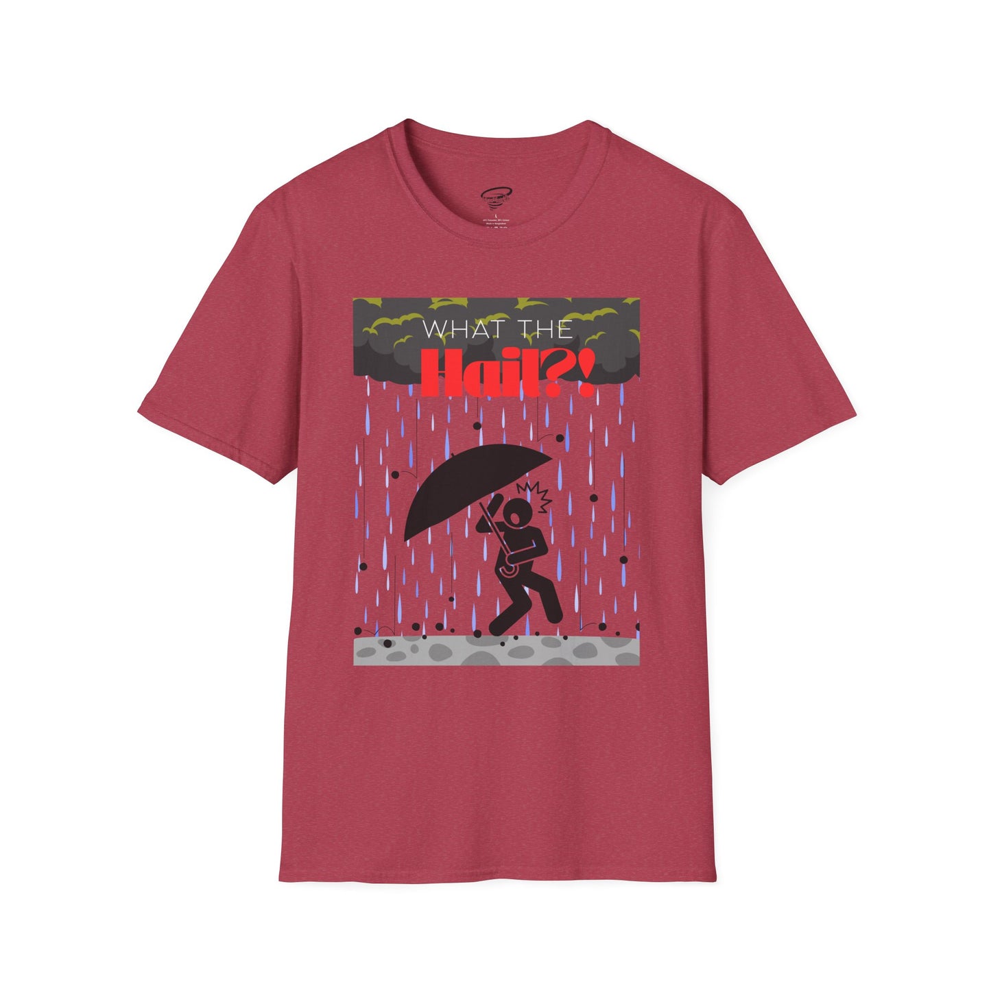 What the Hail?! T-Shirt