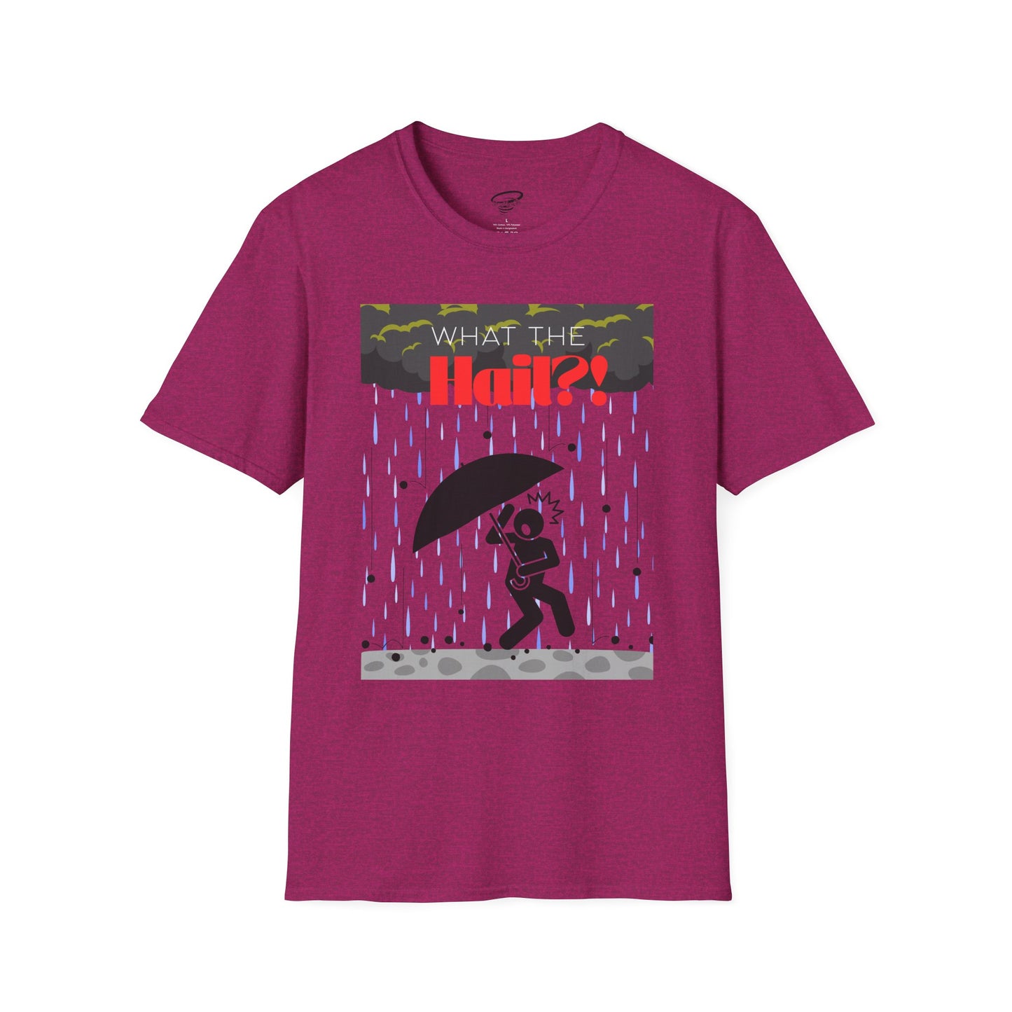 What the Hail?! T-Shirt